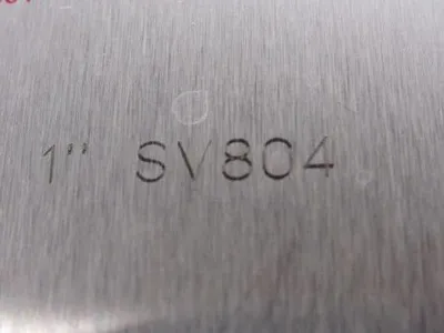 Check-All SV804 Flange Insert Check Valve 1" SS For Chlorine Service
