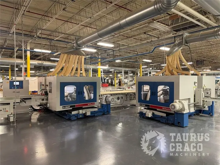 Used 2019 E-CHAIN ECT-48S ANGULAR DOUBLE END-TENONER LINE Woodworking Tenoners Ontario CA | Taurus Craco Machinery Inc #1314188