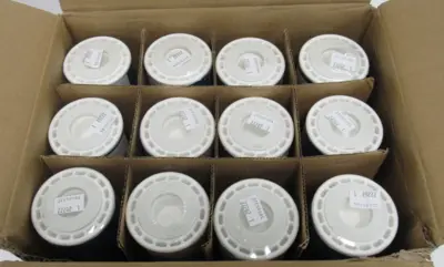 NEW BOX OF 12 PENTAIR GAC-10 FILTERS 155109-43 GAC10