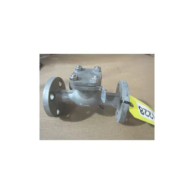 1" OIC / NEWMANS FORGED STEEL BOLTED CHECK VALVE - CLASS 300