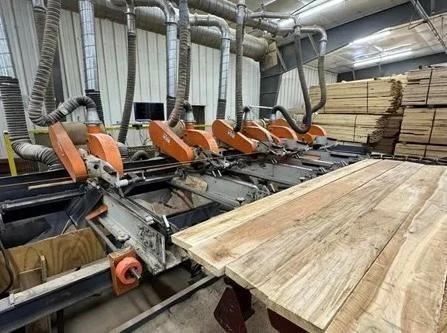 Used NEWMAN KM16 Trim Saws Minnesota US | L & L Sales #1002237