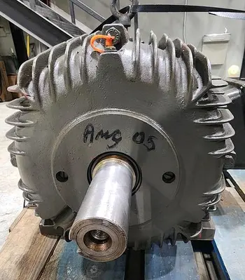 NEW WEG M0T TE180L