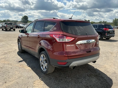 Used 2014 FORD ESCAPE SUVs Michigan US | Miedema Asset Management Group #1397136