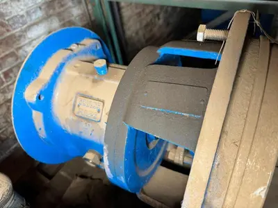 USED GOULDS 3196