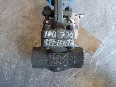 3/4" Class 800 Gate Valve B16.34