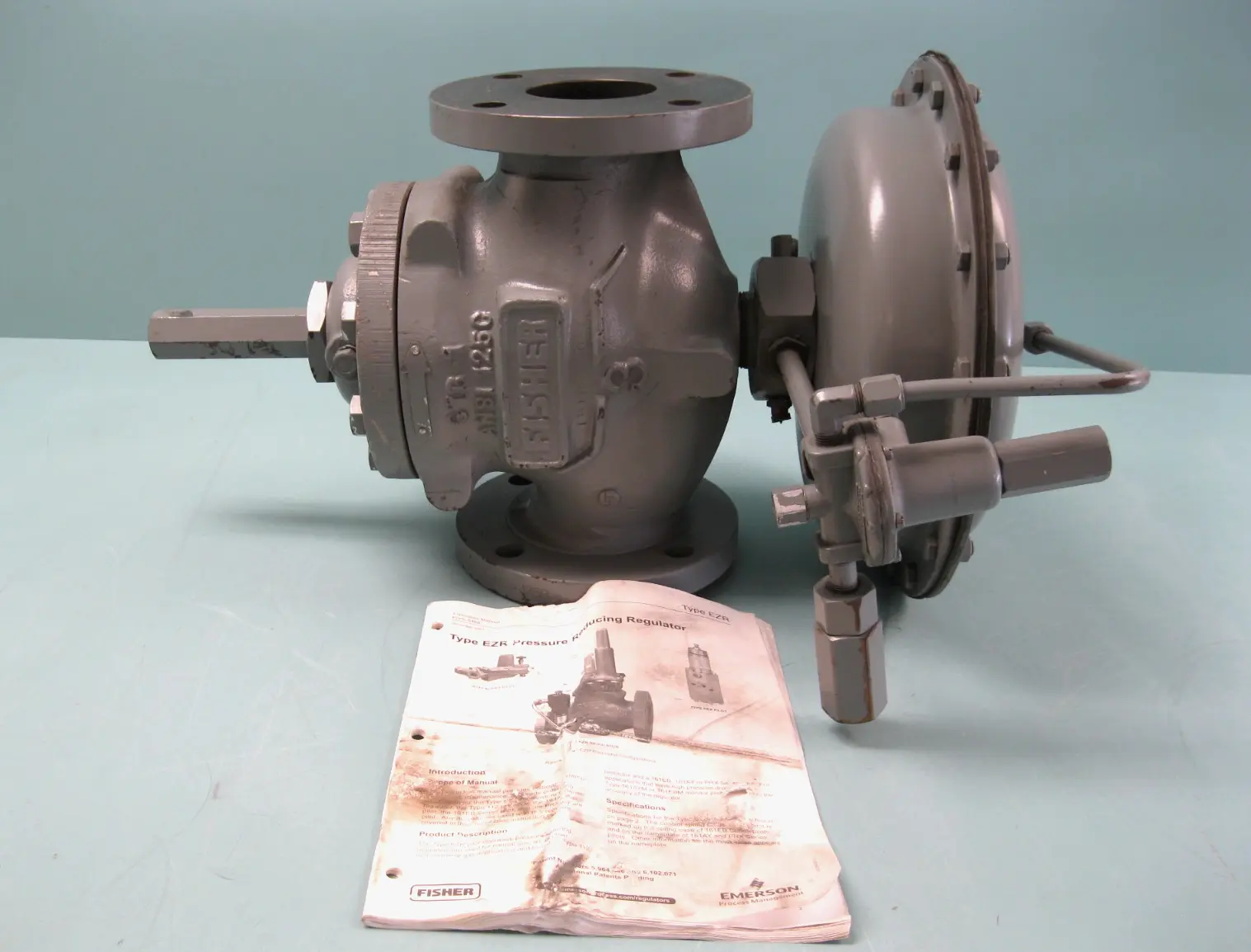 NEW Fisher 1098-EGR