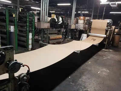 Complete Paper Box Plant