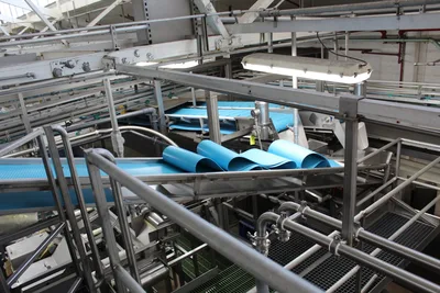 Filler Hopper Conveyor Feed 2