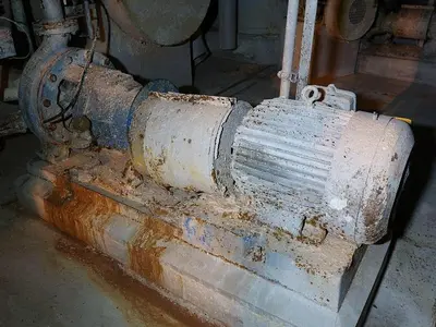 USED GOULDS 3175S