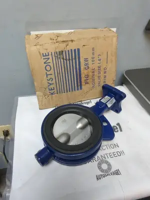 New | in-Stock KEYSTONE N 100/NPS 4 Pump & Valve Parts Ohio US | Surplus Asset Holdings #1247240
