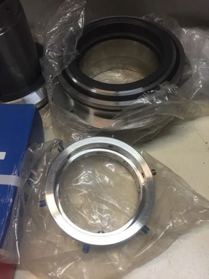 NEW Flowserve ESD42L 100-R31V