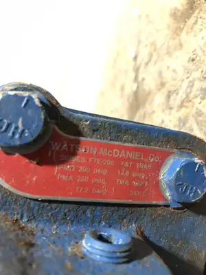 Watson McDaniel Series FTE-200 2″ F&T Steam Trap