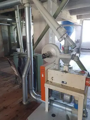 Oatmeal processing plant 1 t/h