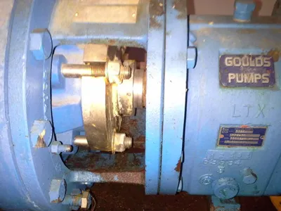 USED Goulds 3196 LTX