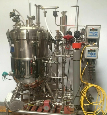 LSL BioLafitte Does Not Apply Bioreactors & Fermenters | Amiron Machinery (2)
