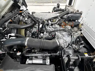 Used 2017 ISUZU NPR XD Reefer Trucks Florida US | Truck and Van Outlet #1509165