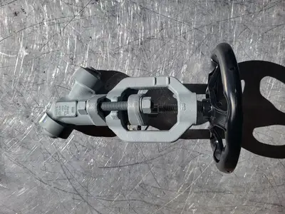 3/4" Class 900 Y-Pattern Check Valve B16.34