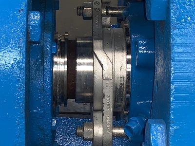 USED Goulds 3175M