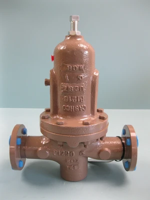 NEW Cashco D16-5XX7-4SX55161E