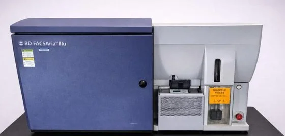 Used BECTON DICKINSON (BD) FACSARIA IIIU Cellular Analysis Systems New Jersey US | Bionex Scientific LLC #1098619