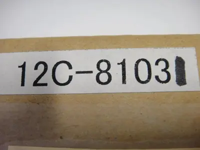 NEW DUPLO 12C-81031