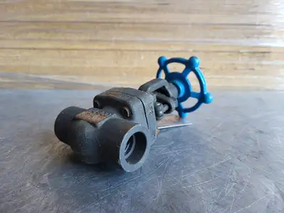 3/4" Class 800 Globe Valve B16.34