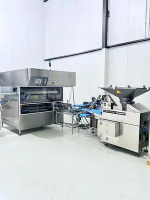 2012 WP HATON CRUSTIC Bread Production | Harvest Equipment and Fabrication Inc (19)