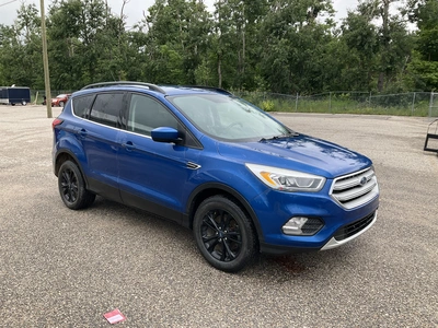 Used 2019 FORD ESCAPE SUVs Michigan US | Miedema Asset Management Group #1411161