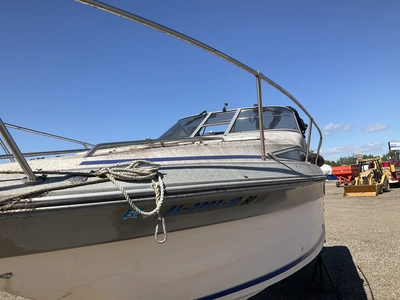Used 1988 SEA RAY SORRENTO 25 Boats (Misc) Michigan US | Miedema Asset Management Group #1384746