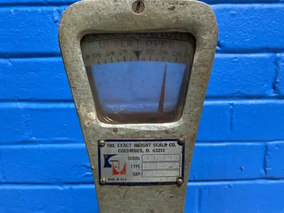 Used THE EXACT WEIGHT SCALE SCALE CO. 100 Material Handling (misc) Ohio US | HGR 24 #1293737