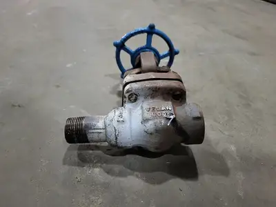 3/4" Class 800 Gate Valve B16.34