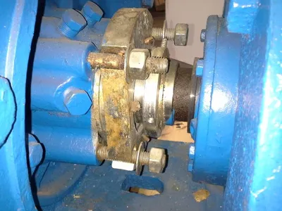 USED Goulds 3175