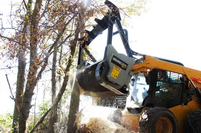 Used BAUMALIGHT _UNKNOWN_ Skid Steer Brush Cutters Iowa US | Keast Enterprises #1573914