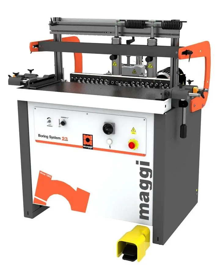 NEW MAGGI SYSTEM 23