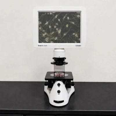 Used INVITROGEN EVOS XL CORE Microscopes New Jersey US | Bionex Scientific LLC #800094