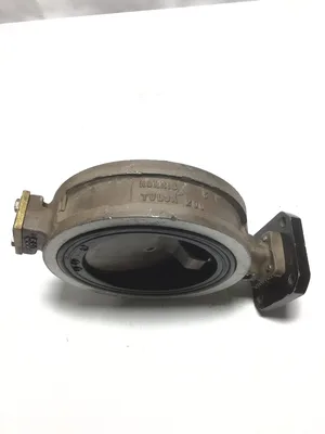 Norriseal R2000 Butterfly Valve 5″