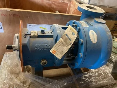 USED Goulds CV3196