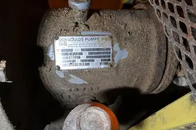 USED GOULDS 3196