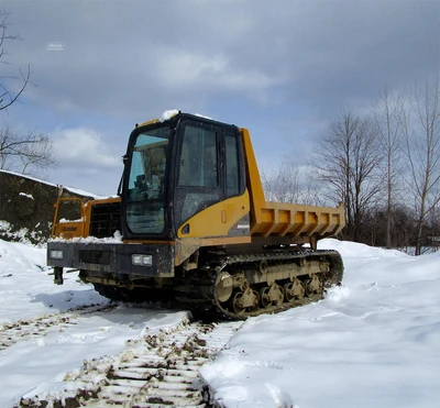 Used 2009 MOROOKA MST3000VD Crawler Carriers & Dumpers New York US | Abele Tractor #1343115