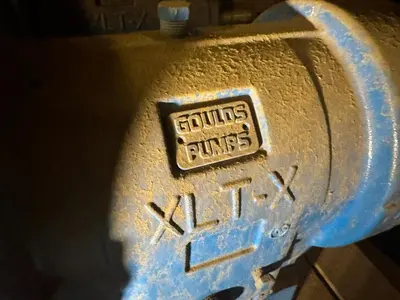USED GOULDS 3196