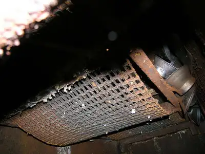 24" TWO STAGE WASHER