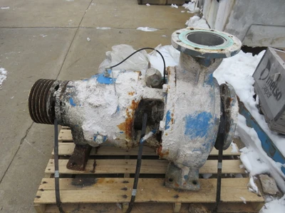 USED Goulds 3175