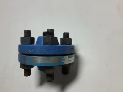 Continental Disc Corp BL20100A301 Rupture Disc Holder