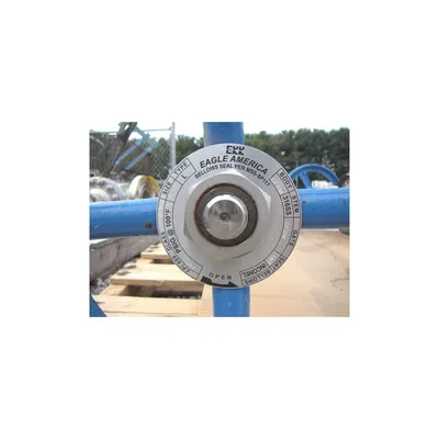 EAGLE AMERICA 4" STAINLESS STEEL GATE VALVE - L SERIES