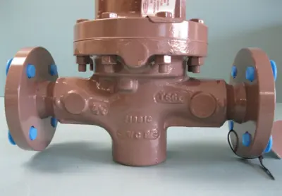 NEW Cashco D56-5XX7-XAX55488E