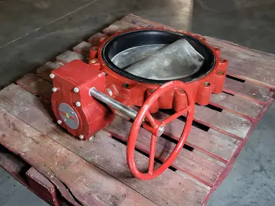 22" Butterfly Valve