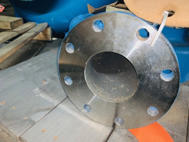 USED Goulds 3196