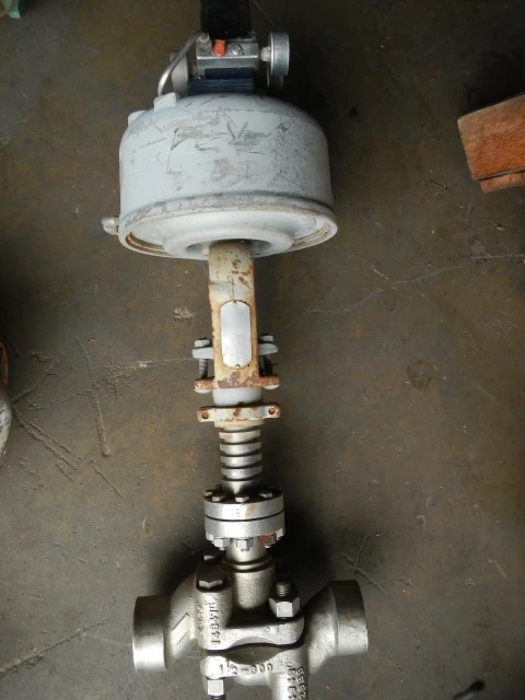 Annin 1 1/2" 600 Class 316 Stainless Steel Control Valve
