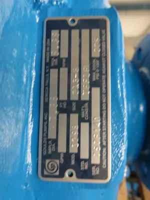 USED Goulds 3298