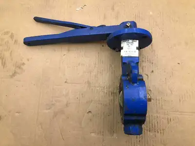 Keystone 2″ CI Manual Wafer Butterfly Valve w/ Stainless Disc 250PSI